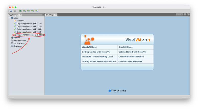 VisualVM start screen